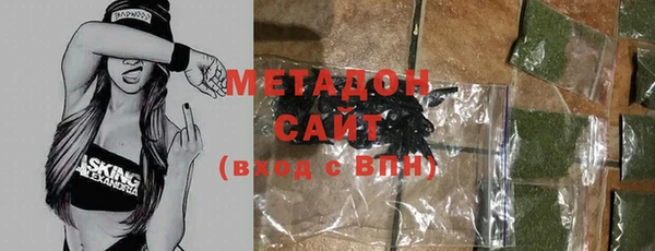 прущие грибы Алзамай